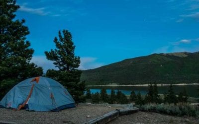 Colorado Officials Looking for Bear That Pounced On Campers in Tent