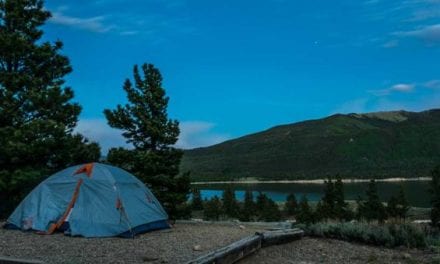 Colorado Officials Looking for Bear That Pounced On Campers in Tent