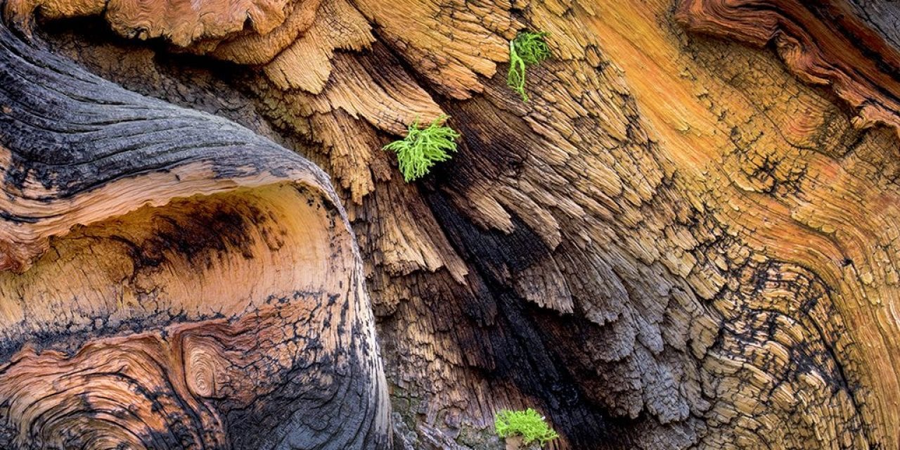 Communicate With Color In Your Photography