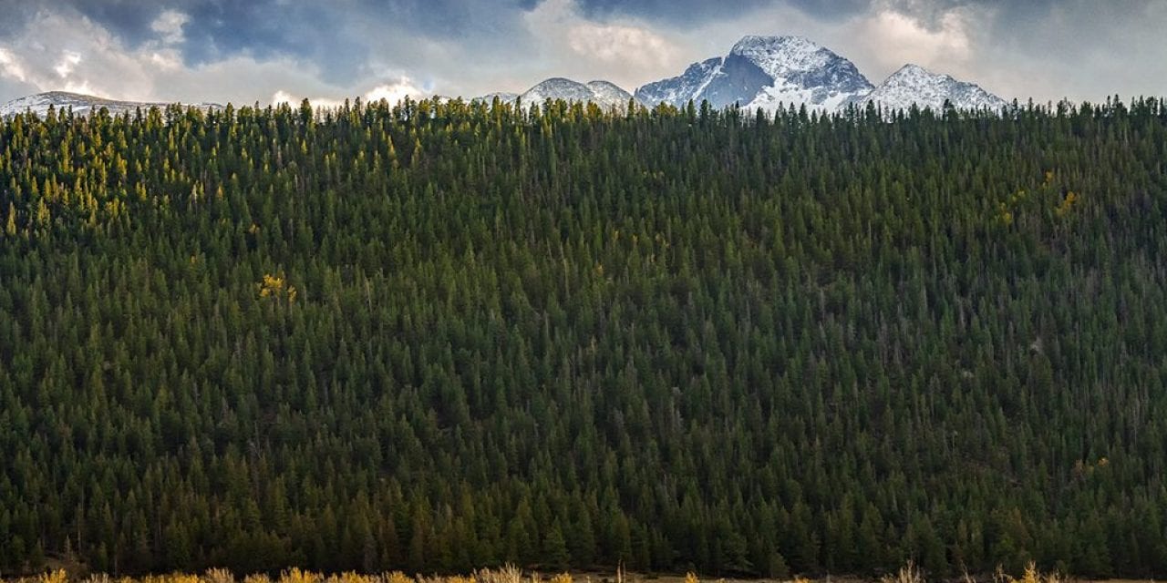 Contrasting Scenics And Landscapes Assignment Winner Mahendra Singh Chouhan