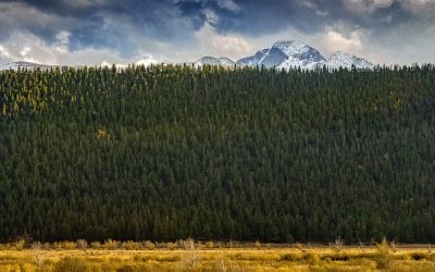 Contrasting Scenics And Landscapes Assignment Winner Mahendra Singh Chouhan