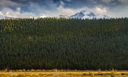 Contrasting Scenics And Landscapes Assignment Winner Mahendra Singh Chouhan