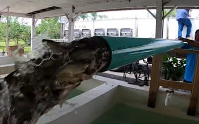 Delivering 150,000 Shiners to a Fish Hatchery, the Quick and Easy Way