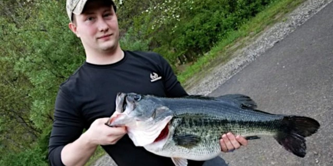 Giant 14-Pound Largemouth Bass Breaks 36 Year-Old Kentucky State Record