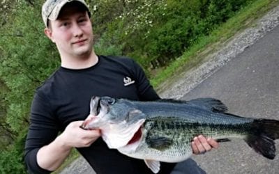 Giant 14-Pound Largemouth Bass Breaks 36 Year-Old Kentucky State Record