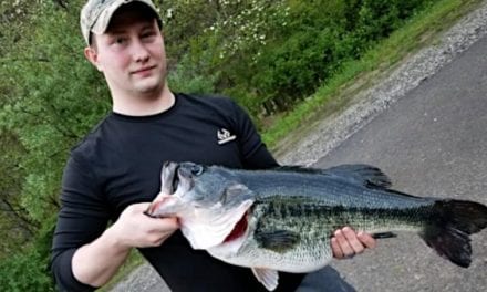 Giant 14-Pound Largemouth Bass Breaks 36 Year-Old Kentucky State Record