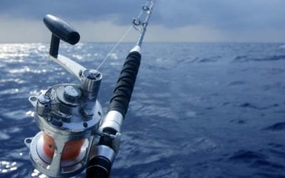 Hawaiian Anglers Donate 220-Pound Tuna to Frontline Workers