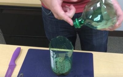 How Keep Mosquitos Away With Only Household Items