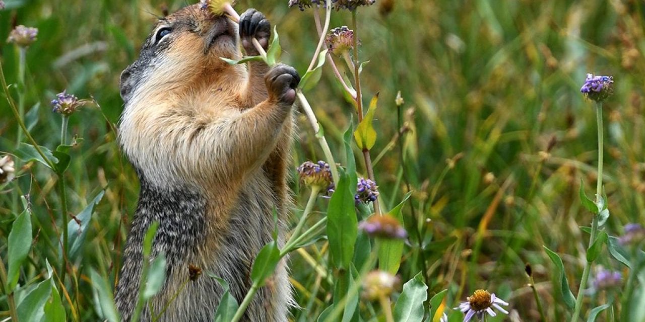 Last Frame: Sweet Smell Of Summer