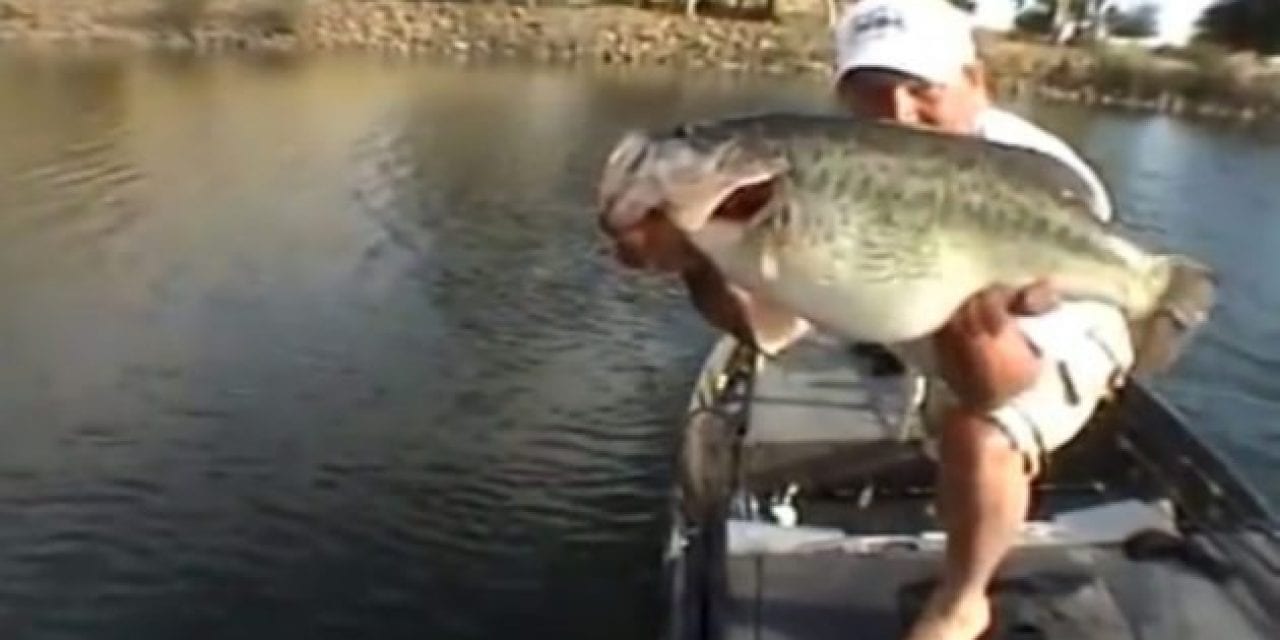 Lucky Angler Shows Off a 5-Bass Limit of More Than 65 Pounds