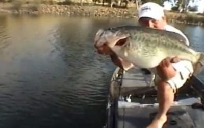 Lucky Angler Shows Off a 5-Bass Limit of More Than 65 Pounds