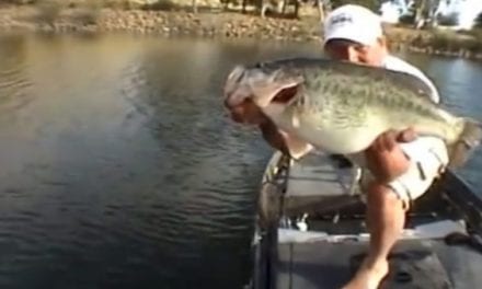 Lucky Angler Shows Off a 5-Bass Limit of More Than 65 Pounds