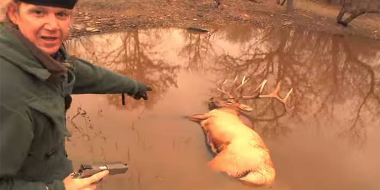 Man Harvests Trophy Elk With 10mm Pistol