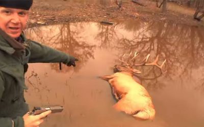 Man Harvests Trophy Elk With 10mm Pistol