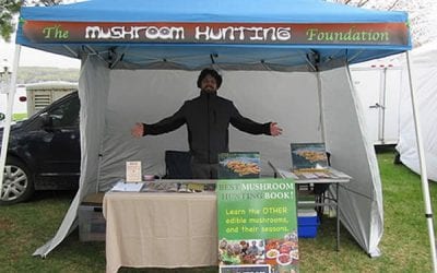Mushroom hunting through 2019 prepared us for a huge 2020