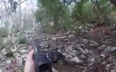 Onslaught of Wild Hogs Catches Hunters by Surprise