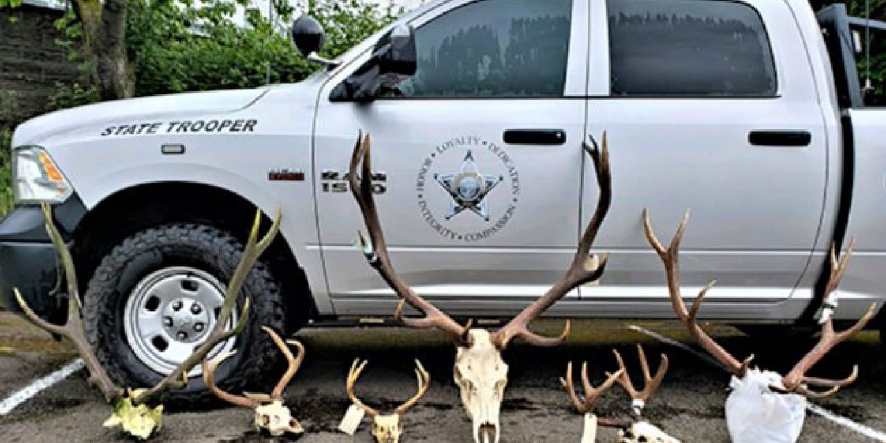 Oregon Poachers Charged for 27 Illegal Kills Facing over $162,000 in Potential Restitution Payments