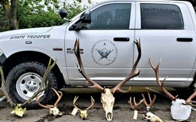 Oregon Poachers Charged for 27 Illegal Kills Facing over $162,000 in Potential Restitution Payments