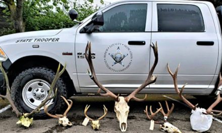 Oregon Poachers Charged for 27 Illegal Kills Facing over $162,000 in Potential Restitution Payments