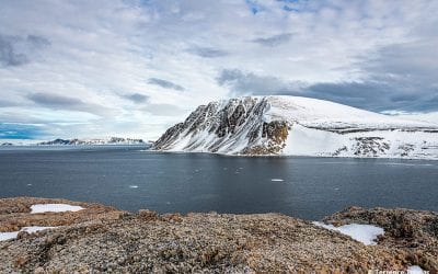 Photo Of The Day By Terrence Trevias