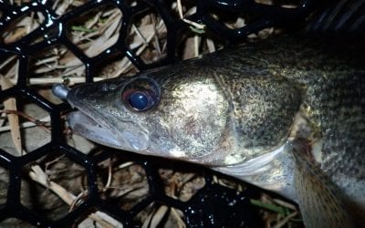 Right Size Jig