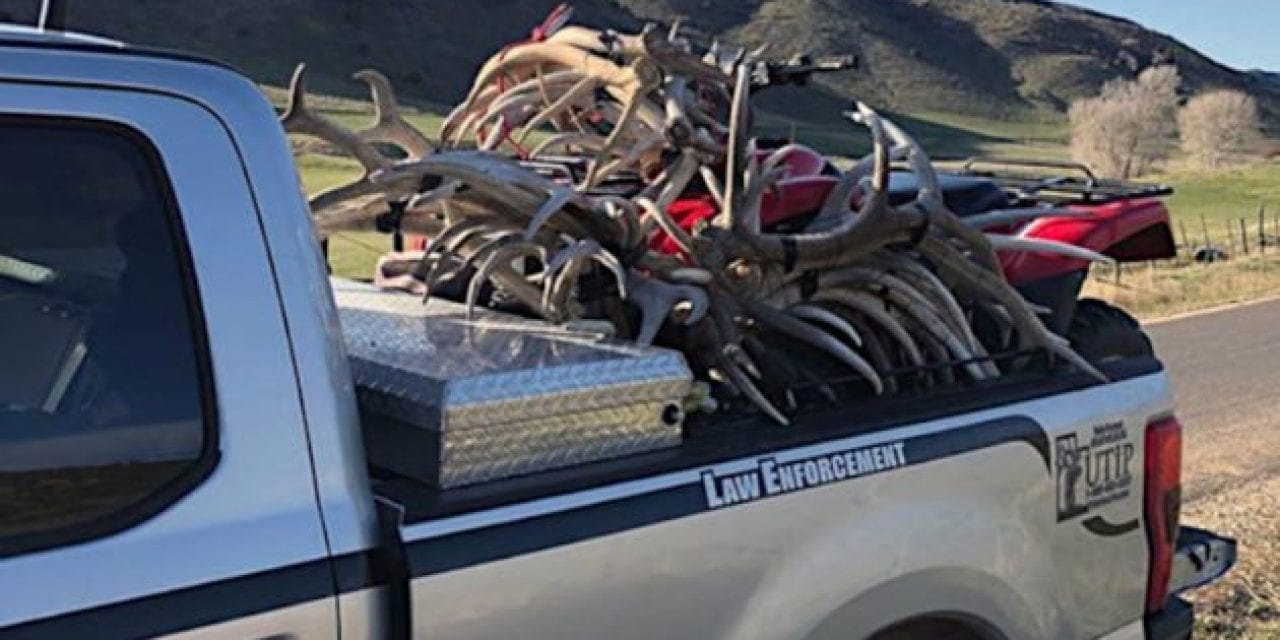 Utah DWR Hands Citations to Trespassers Caught Red-Handed with 30 Shed Antlers