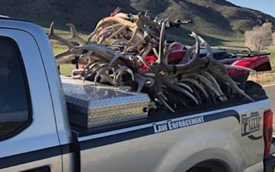 Utah DWR Hands Citations to Trespassers Caught Red-Handed with 30 Shed Antlers
