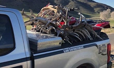 Utah DWR Hands Citations to Trespassers Caught Red-Handed with 30 Shed Antlers