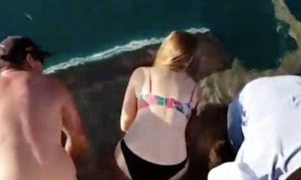 Woman Tries to Hand-Feed Shark and Pays the Price