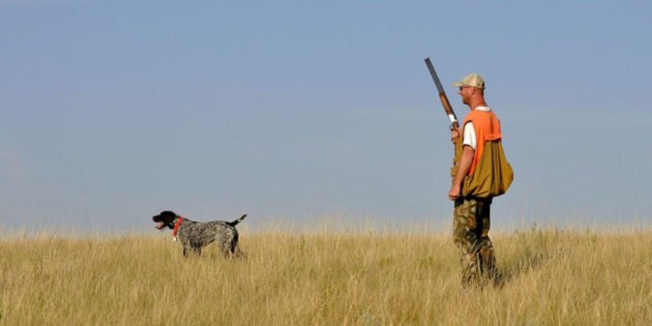 10 States Every Bird Hunter Has to Visit Once