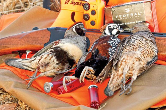 hunting states