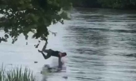 Fisherman Falls From Tree During Lure Retrieval