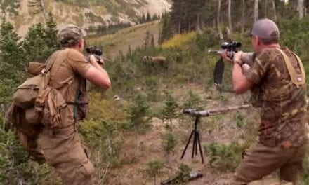 Flashback to the Time Steven Rinella Encountered a Charging Grizzly