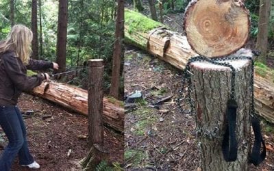 Get Dad Amazon’s Best-Selling Pocket Chainsaw for Under $20