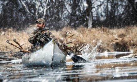 How to Make the Most Out of Your Deer Hunting Season