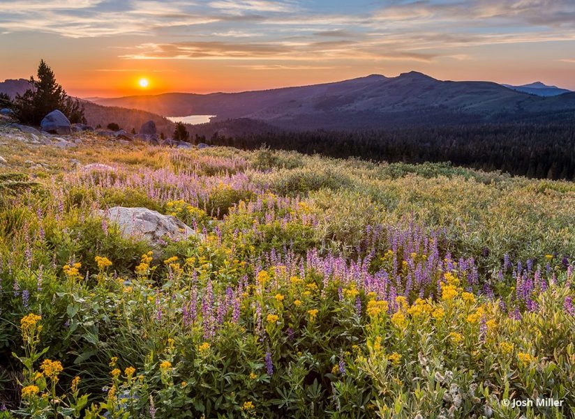 HDR technique used on a scene near Lake Tahoe