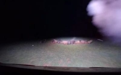 Hunting Hogs in Texas With a Side-by-Side and Laser-Sight Shotguns