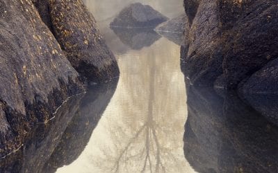 Isolation Assignment Winner Gerry Groeber