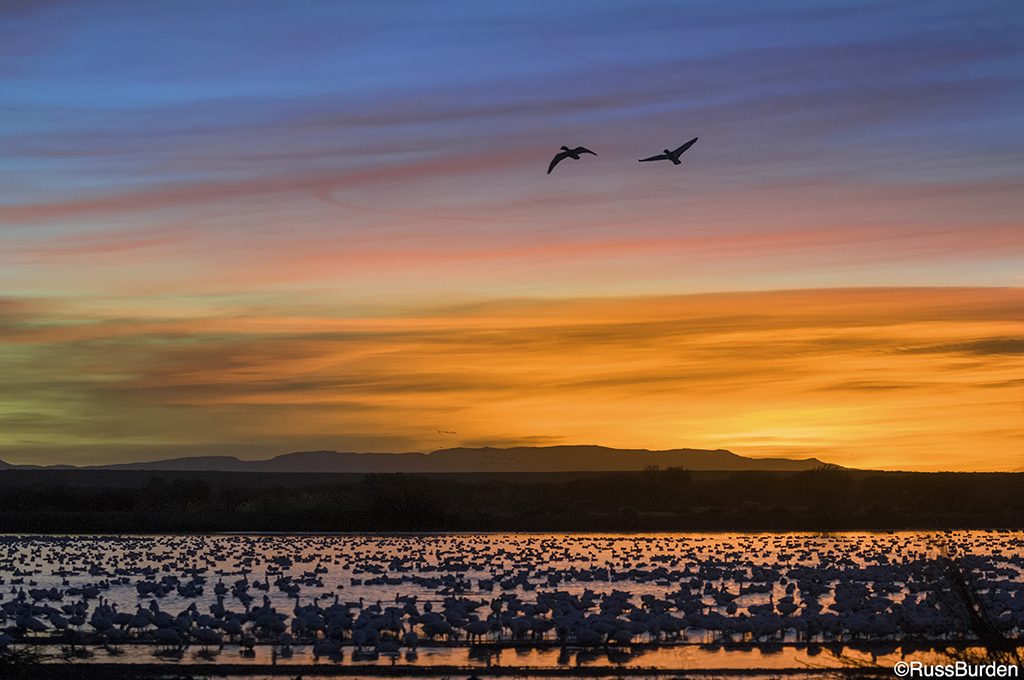 Photographing silhouettes
