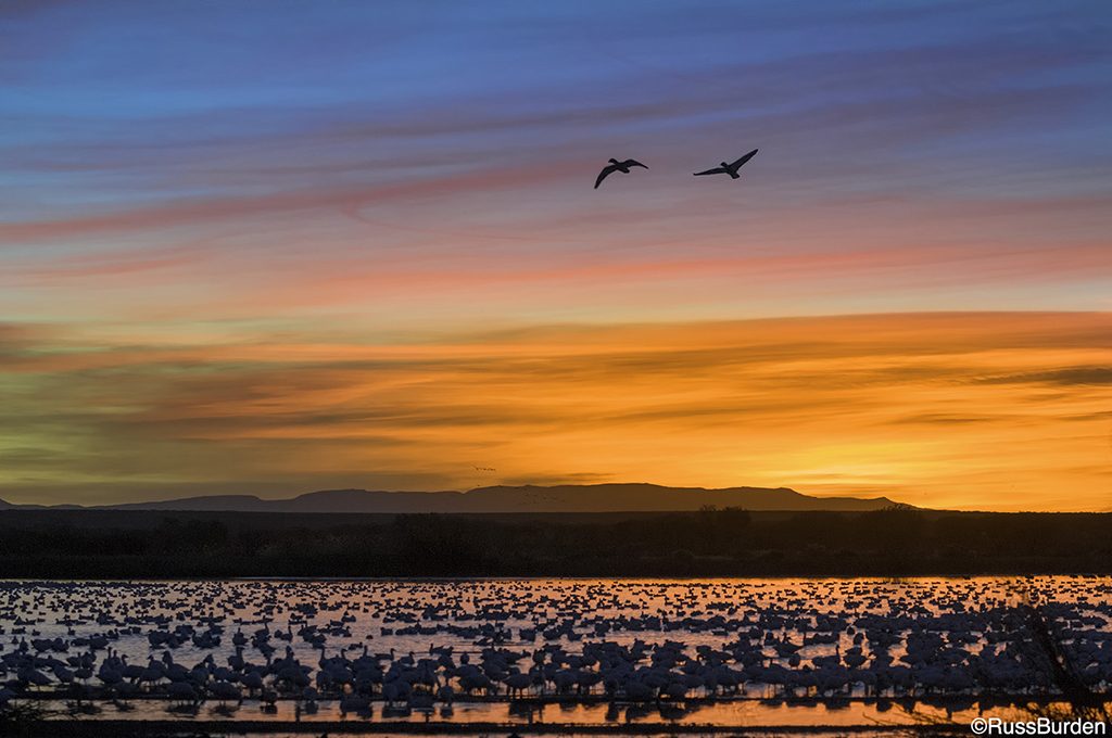 Photographing silhouettes