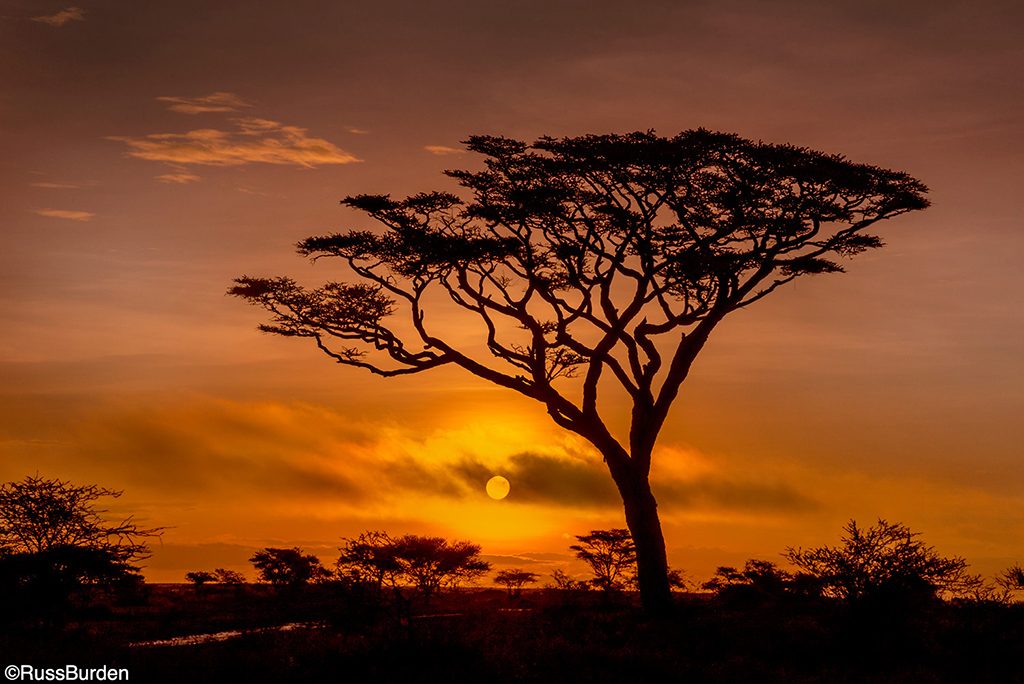 Photographing Silhouettes