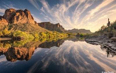 Photos Of The Day For May 2020
