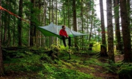 Set up a Hanging Tent at a Scenic Campground for a Breathtaking View