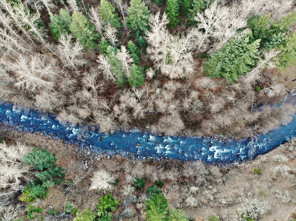 "Mt. Hood" By Brandon Wales