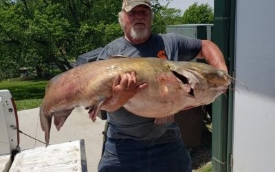 Stop the Presses, Big Fish!