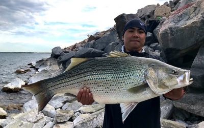 Stop the Presses, Big Fish, Second Week in a Row!