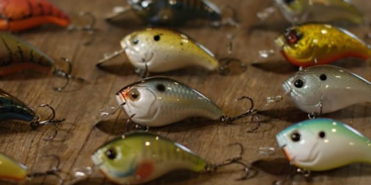 Unique New Jabber Jaw Bait Debuts from 13 Fishing