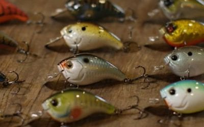 Unique New Jabber Jaw Bait Debuts from 13 Fishing