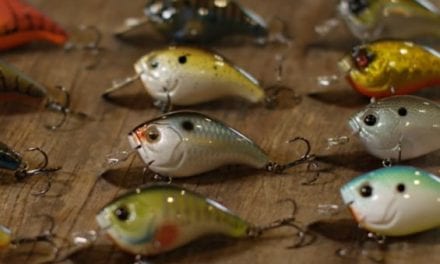 Unique New Jabber Jaw Bait Debuts from 13 Fishing