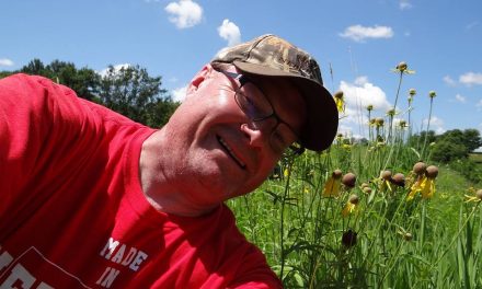 Wildflower Power: Promoting Pollinator Week